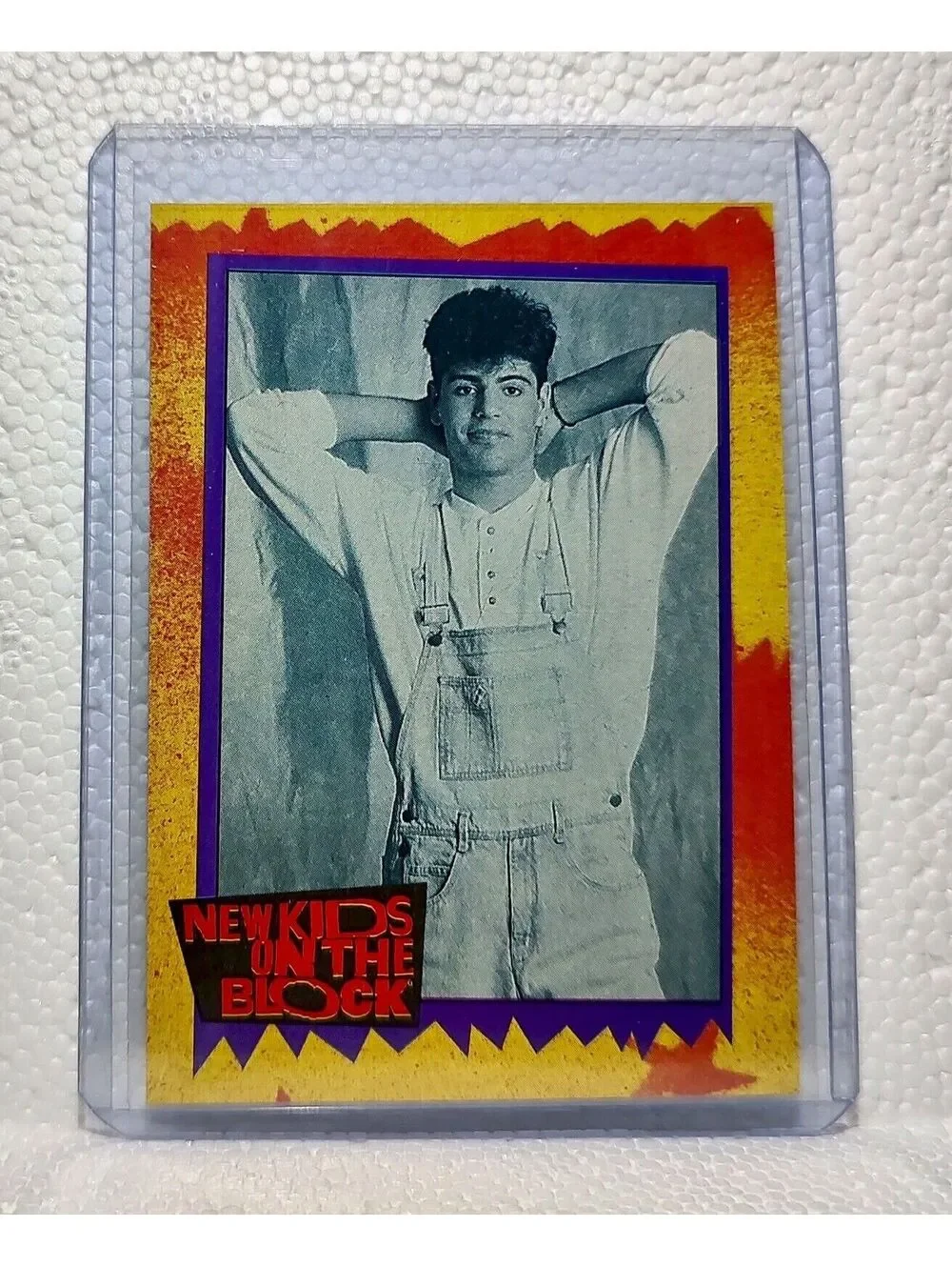 Did You Know 1989 New Kids on the Block #48 Trading Card